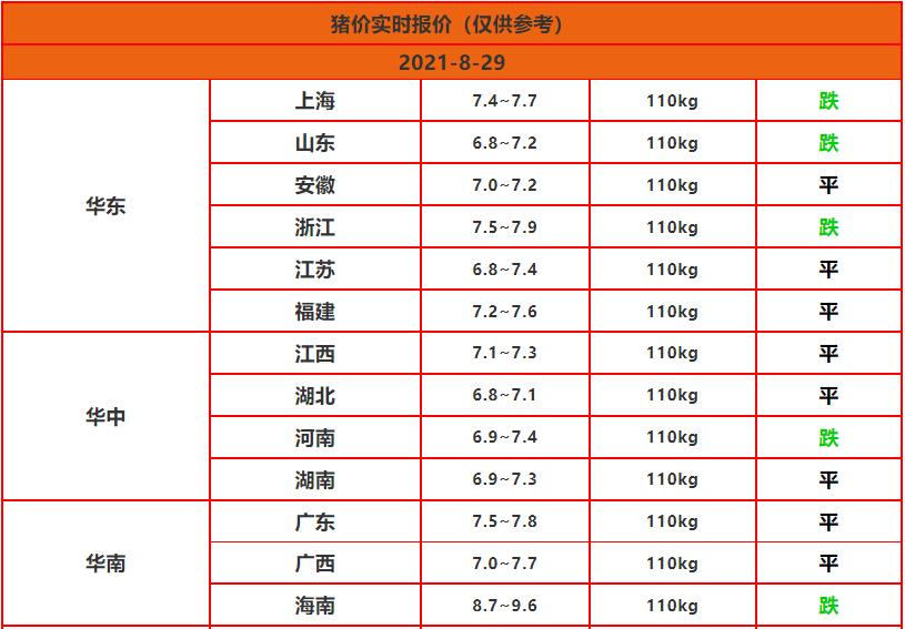 明日猪价行情更新，日常温馨关注焦点