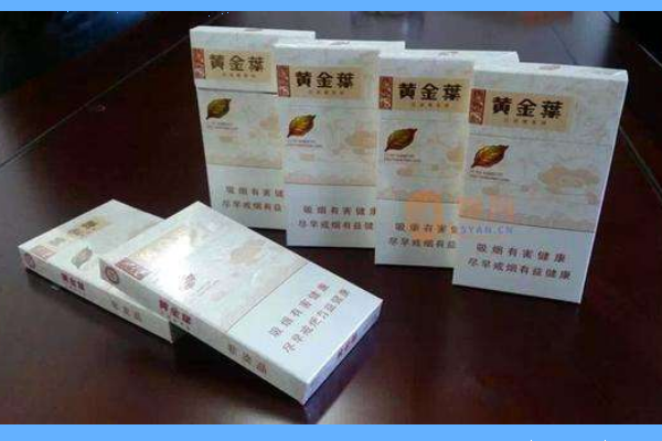 黄金叶价格表与图片，开启自然美景探索之旅