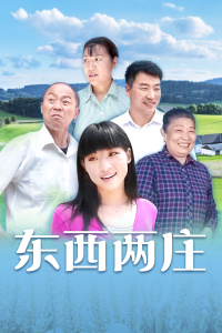 东西两庄演员表揭秘，角色与演员魅力深度解析