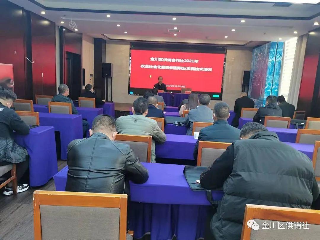甘肃供销社资讯更新及观点论述摘要