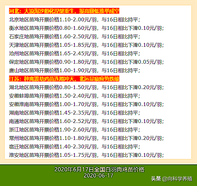 最新白羽肉鸡价格，时代变迁与市场的波动影响分析