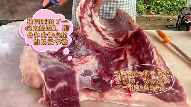 回顾历史变迁，揭秘2002年猪肉价格走势