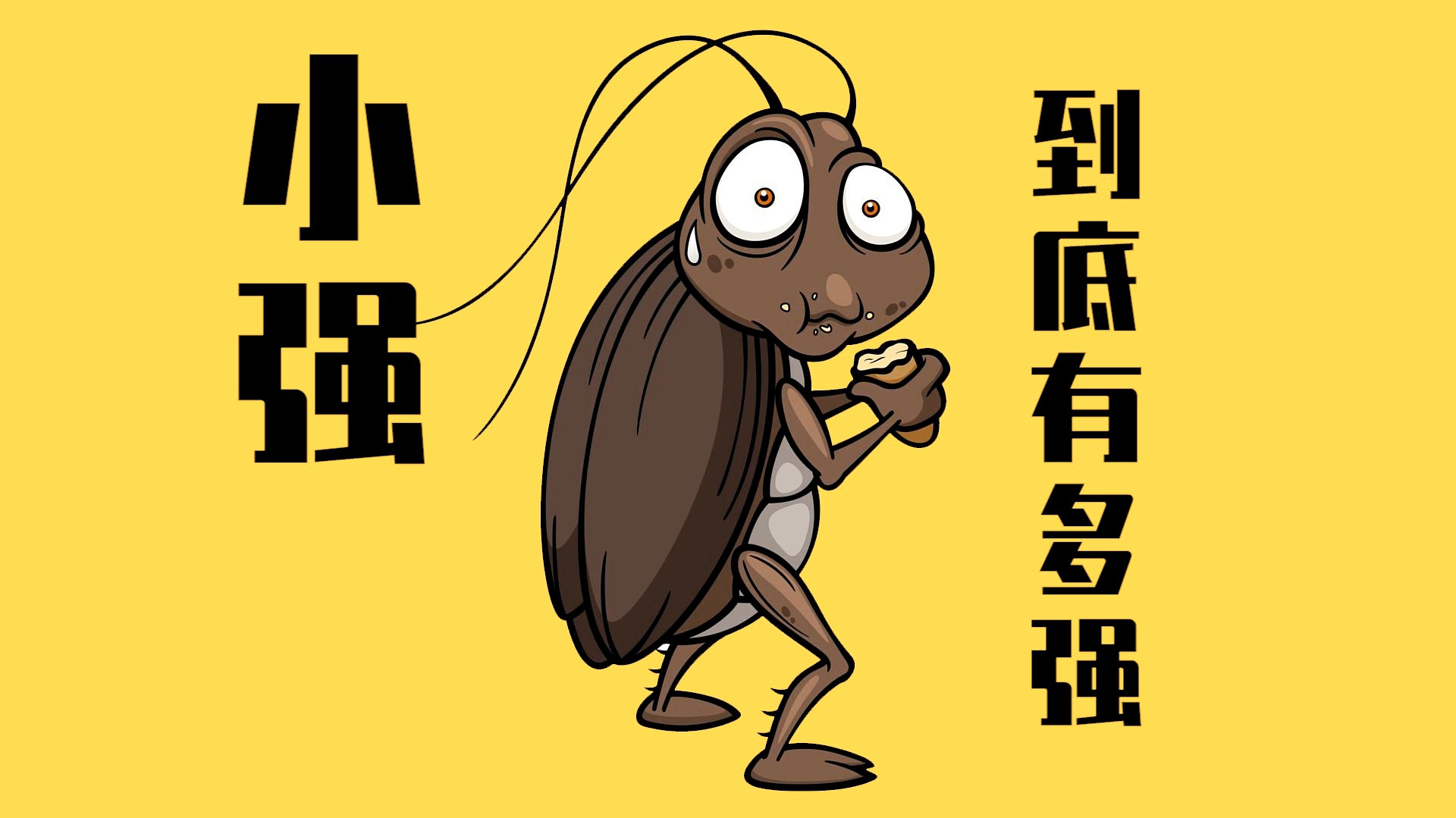 小强动态，数字世界探索的最新动态