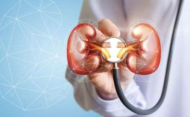 肾病新治疗法，医学进步的辩论焦点