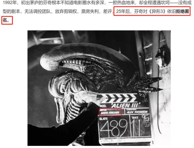 异形最新动态，深度解析与观点阐述