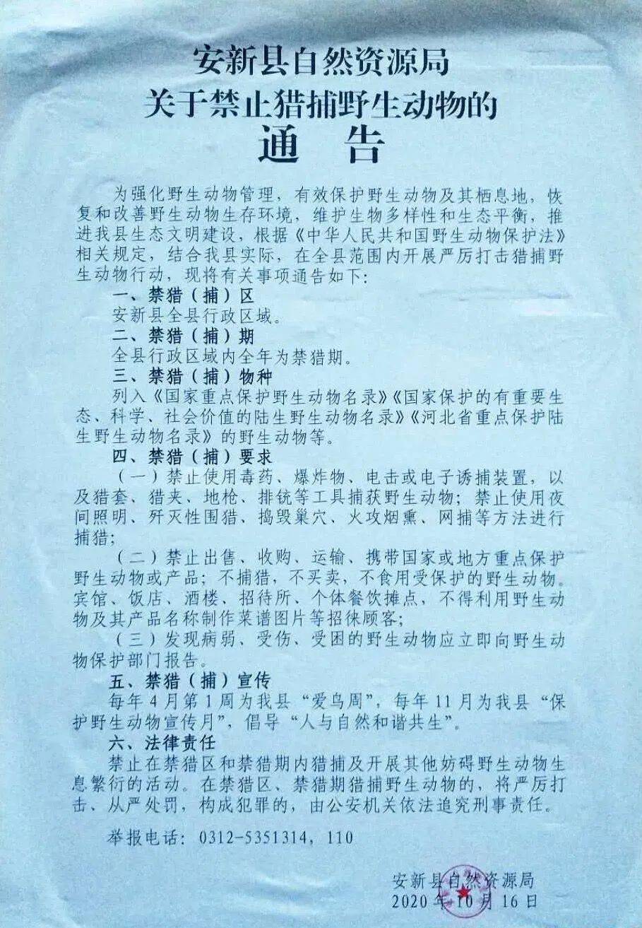 新县最新通告揭秘，引领科技潮流的高科技产品亮相