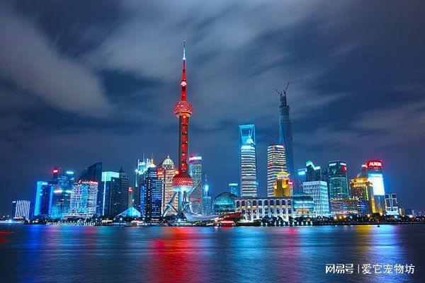 上海最新上班模式观点解析与论述